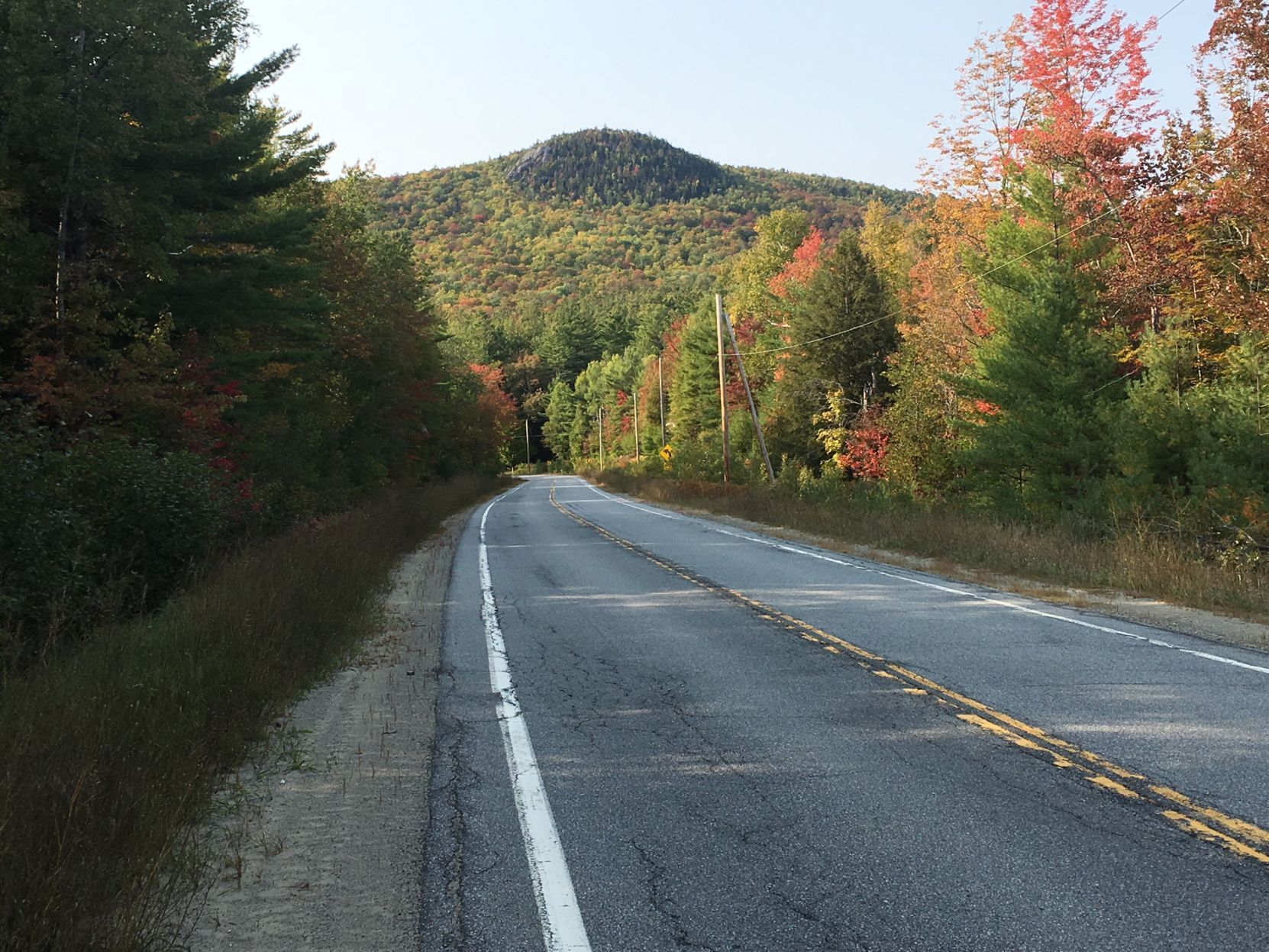 Slashing through the Adirondacks